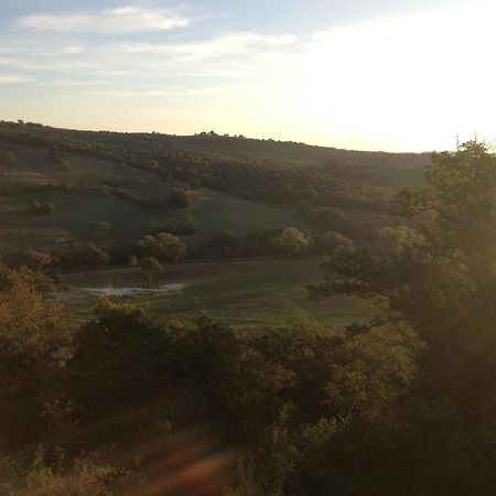 Le Tartarughe Rooms Magliano in Toscana Dış mekan fotoğraf