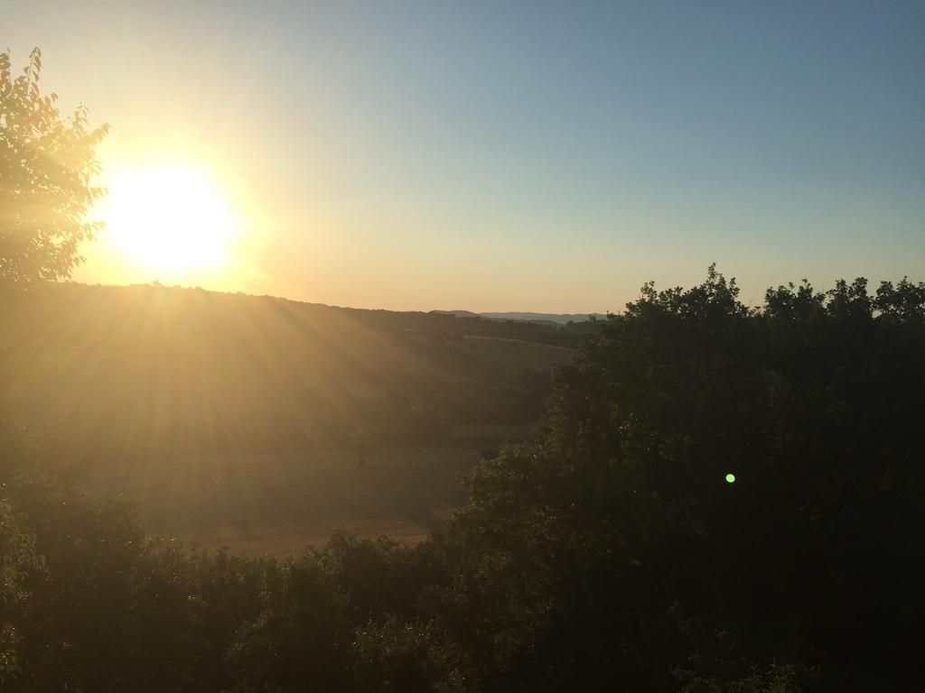 Le Tartarughe Rooms Magliano in Toscana Dış mekan fotoğraf