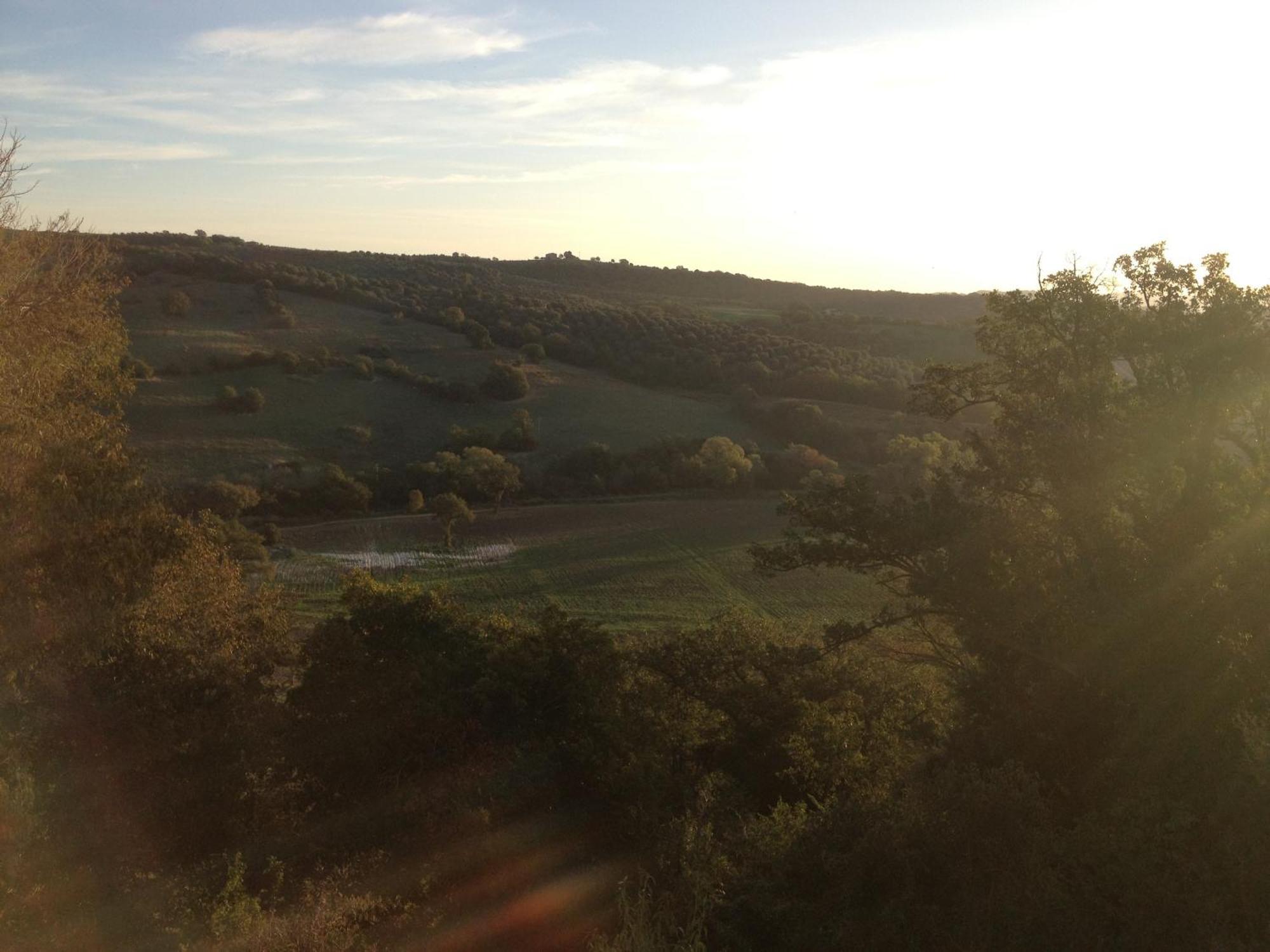 Le Tartarughe Rooms Magliano in Toscana Dış mekan fotoğraf