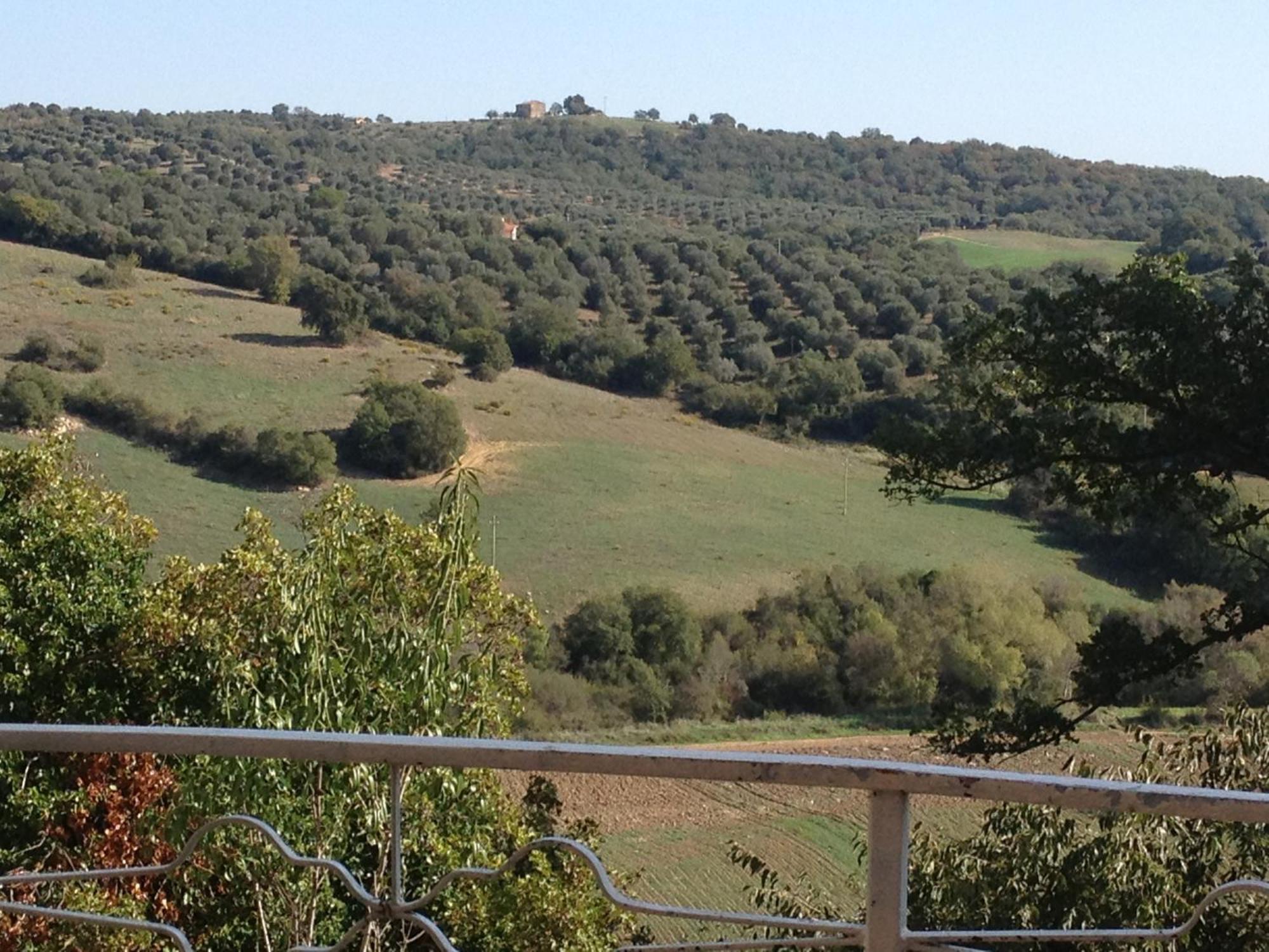 Le Tartarughe Rooms Magliano in Toscana Dış mekan fotoğraf