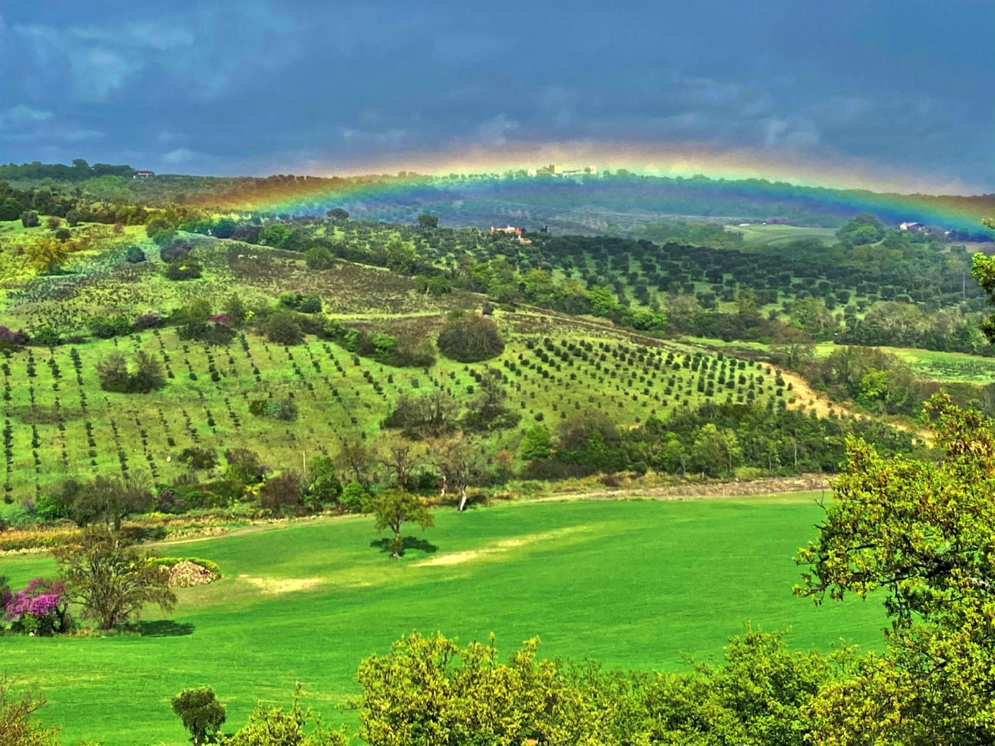 Le Tartarughe Rooms Magliano in Toscana Dış mekan fotoğraf