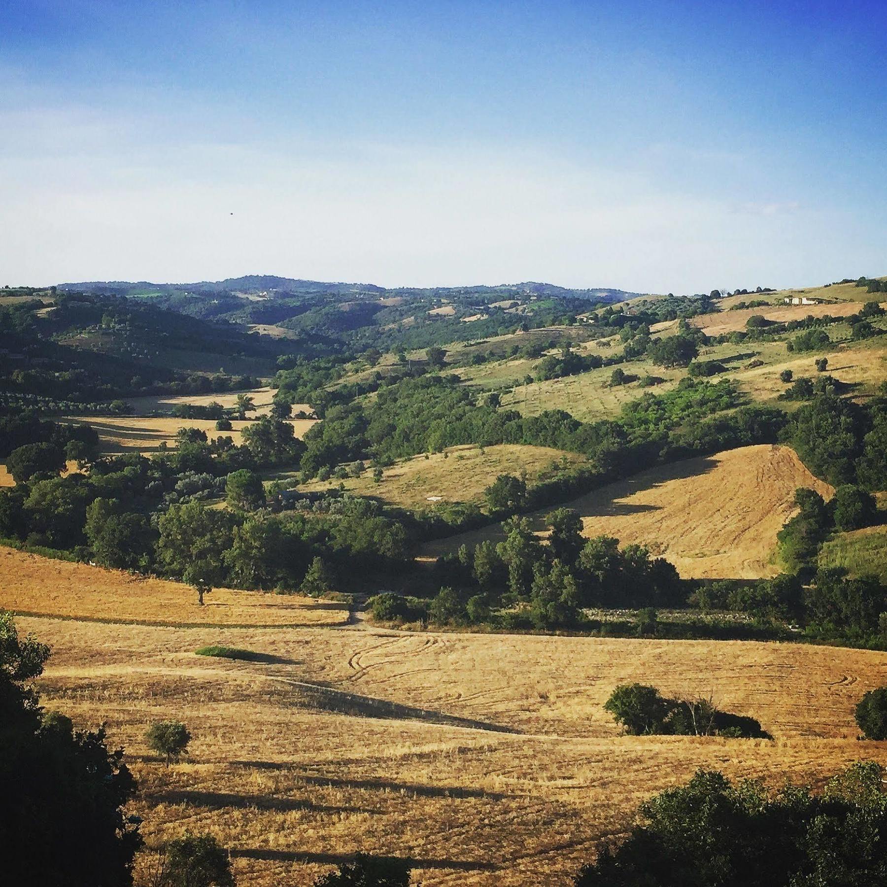Le Tartarughe Rooms Magliano in Toscana Dış mekan fotoğraf