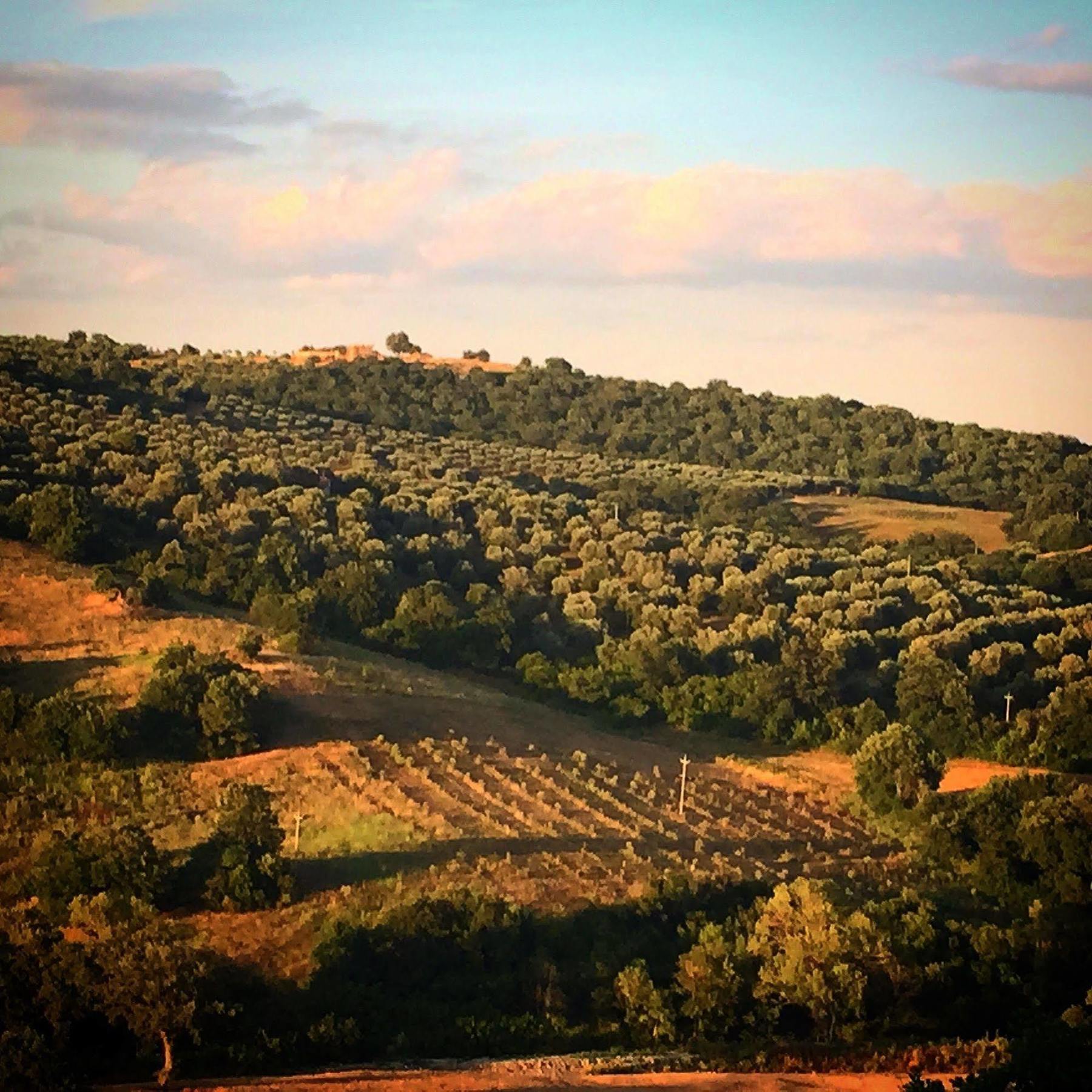 Le Tartarughe Rooms Magliano in Toscana Dış mekan fotoğraf