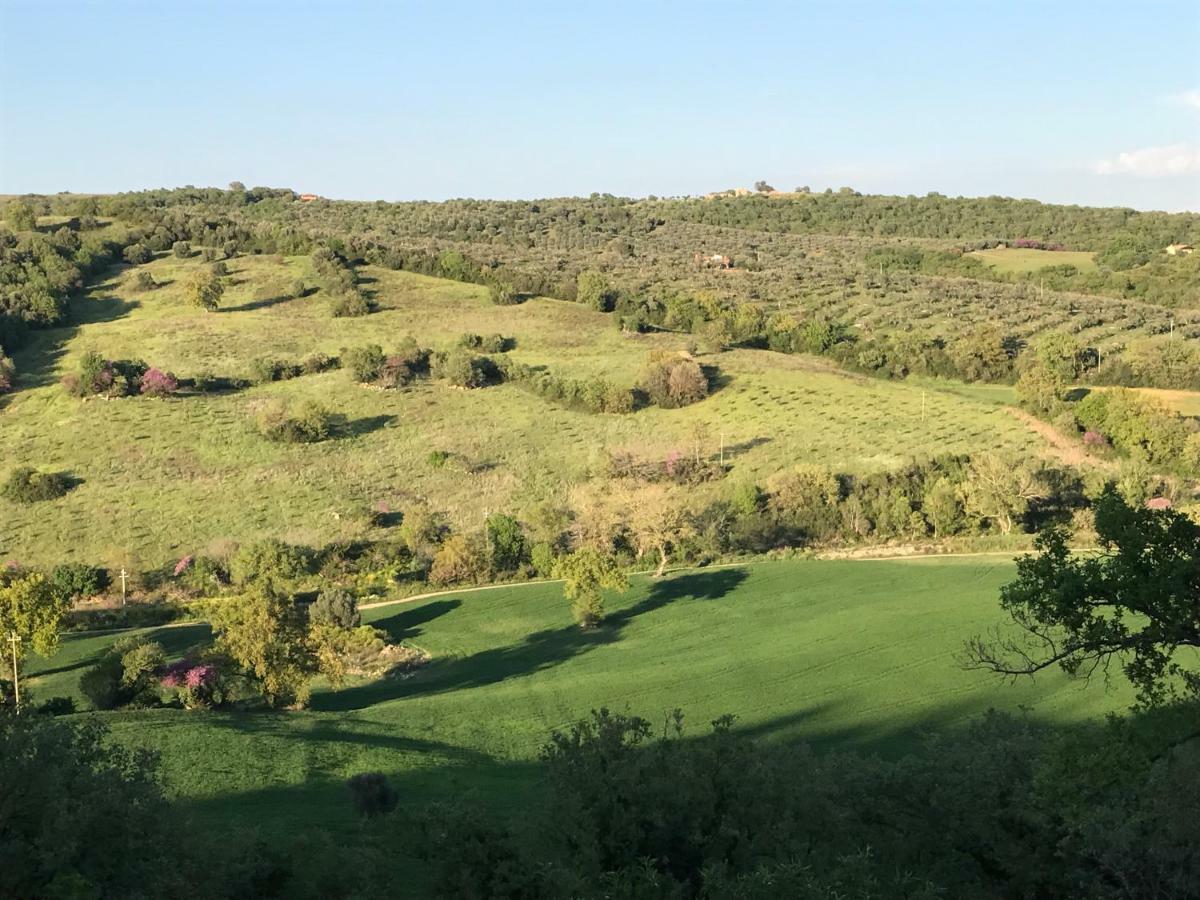 Le Tartarughe Rooms Magliano in Toscana Dış mekan fotoğraf