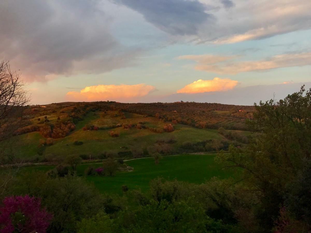 Le Tartarughe Rooms Magliano in Toscana Dış mekan fotoğraf